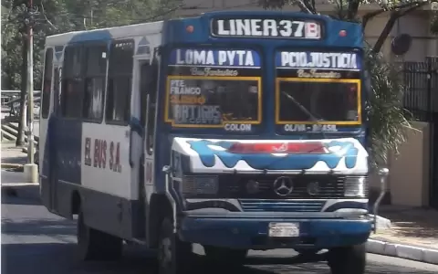 Transporte: �Paro ser� solo de empresas de Asunci�n y permisionarias de la comuna�