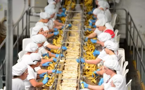 Industria nacional export� por casi USD 5.000 millones en 2021