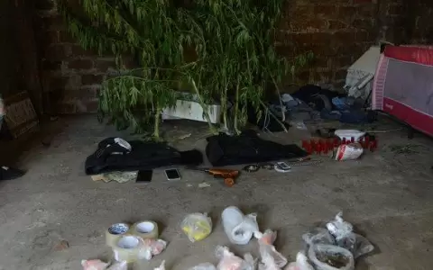 Coca�na adulterada en Argentina: "La gente no supo que estaba consumiendo un opioide�