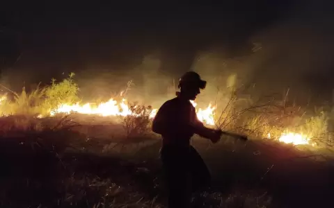Incendios forestales: declaran emergencia ambiental en Ayolas