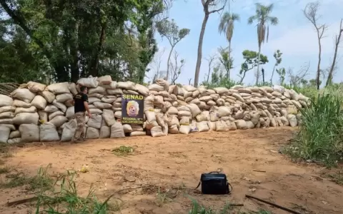 Senad detect� 18 toneladas de marihuana ocultas en una fosa