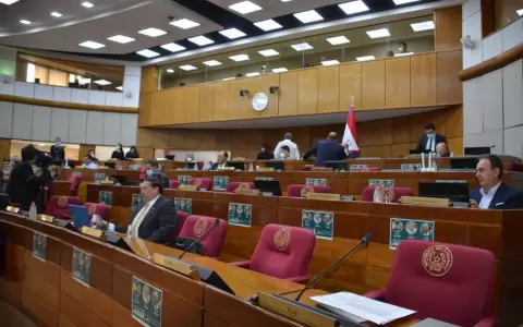 Senado urge al Ejecutivo realizar acuerdos para abaratar costo del combustible