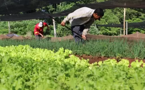 STP y el IICA acuerdan trabajo conjunto a favor del desarrollo agr�cola sostenible
