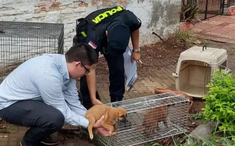Fiscal�a rescata a 13 perros en estado de abandono