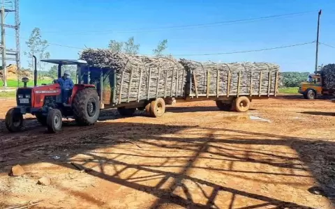 Petropar inicia construcci�n del nuevo molino en la planta alcoholera de Troche