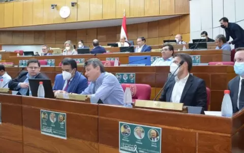 Senado aprueba subsidiar combustibles de PETROPAR