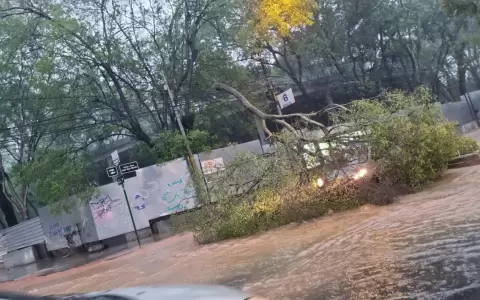 Cortes de luz y caos: de nuevo la lluvia dej� a varios distritos a oscuras, se�ala la ANDE
