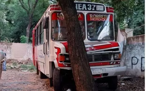 Bus de la L�nea 37 choca contra un �rbol y deja a varios heridos