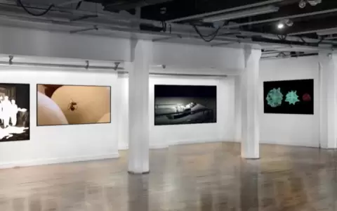 BienalSur 2022: Casali, Casco, Hooper y Quiroz exponen en Buenos Aires