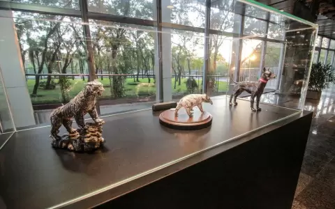 Contin�a exposici�n �Mba'e vera: La plata del Per� en Paraguay� en el BCP