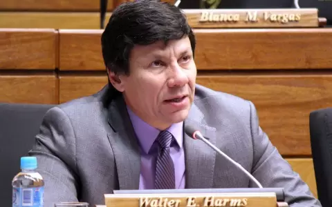 Oficialistas �traicionaron� al Partido Colorado, seg�n diputado