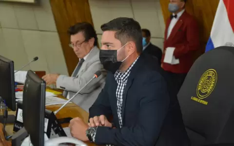 Sesi�n donde eligieron a nuevo presidente de Diputados fue "irregular", seg�n Alliana