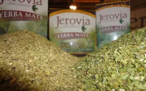 Yerba paraguaya gana terreno en Europa