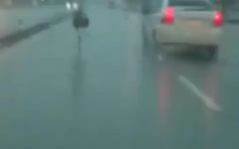Un �and� sali� a �pasear� en plena tormenta y fue rescatado por la Polic�a