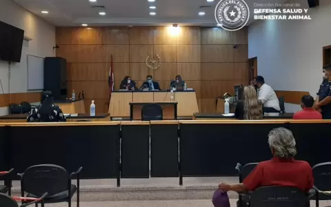 In�dito: primer juicio oral y p�blico por abuso a una gallina