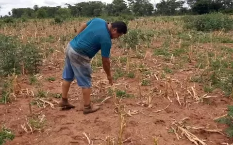 Lluvias trajeron alivio a la producci�n campesina