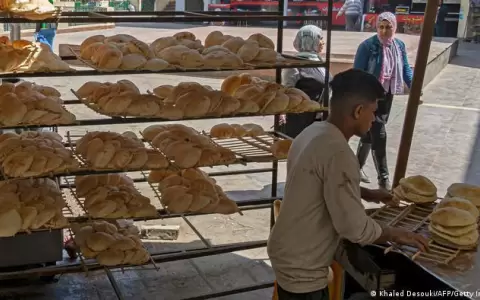 UE lanza plan para paliar escasez de alimentos debido a invasi�n de Ucrania