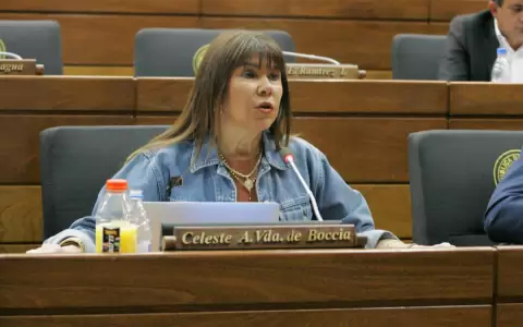 Negociaciones de oficialistas y cartistas ocasionar�a "abril paraguayo", seg�n diputada