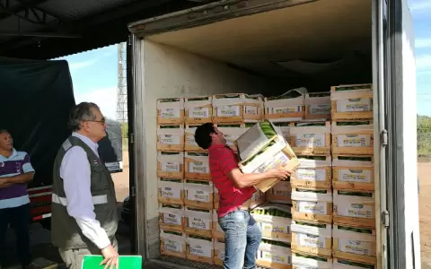 Senave facilita el comercio exterior