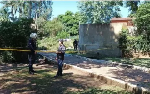 �Terrible! Ni�o muere aplastado por un �rbol en parque de Villarrica