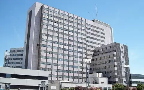 Alerta en Europa: detectan en Espa�a casos de hepatitis infantil aguda de origen desconocido