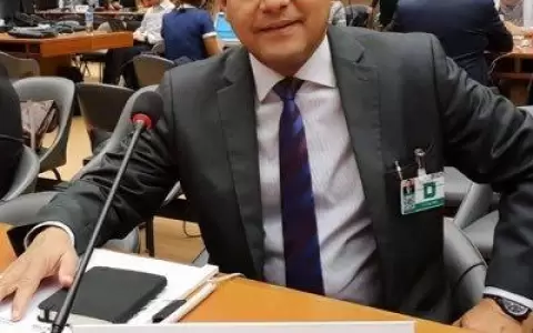 Combustible: viceministro de Comercio plantea buscar "f�rmula transparente"