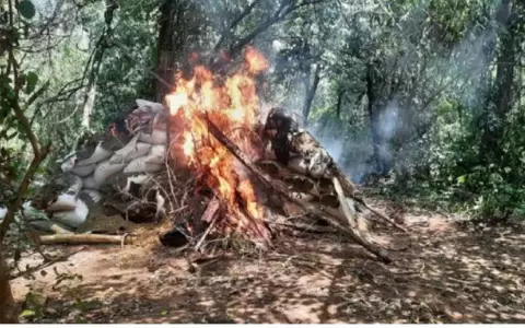 Alianza paraguayo-brasile�a destruy� 11.600 toneladas de drogas en dos a�os