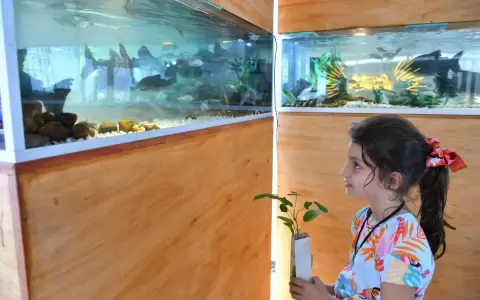 Exhibici�n de peces y entrega de plantines atrae inter�s en Expo Canindey�