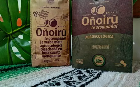 Yerba mate O�oir?, de peque�os productores, prepara exportaci�n a Nueva York