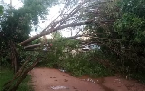 Temporal y destrozos en distintas ciudades del pa�s