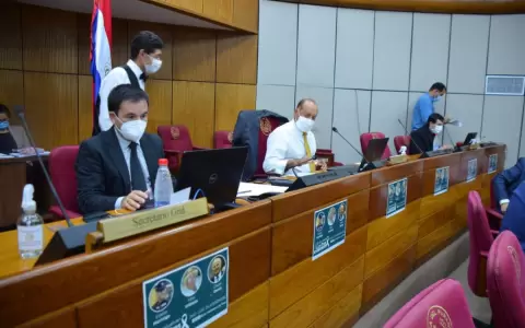Senado da luz verde a proyecto que subsidiar� combustible al sector privado