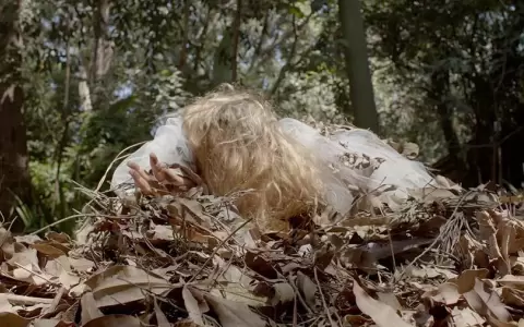 Estreno de �Insolencia Pos-abismal: La felicidad es posible�