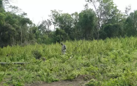 Concepci�n: tres polic�as muertos en enfrentamiento con narcos