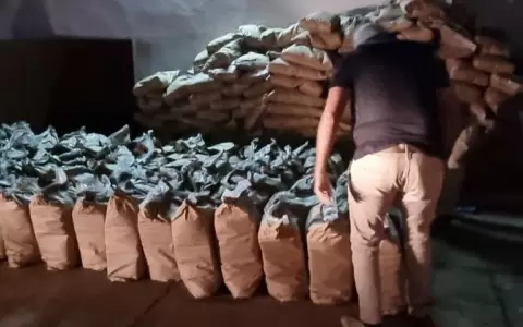 Audios filtrados revelar�an c�mo narcos pagaron a polic�as para ser liberados