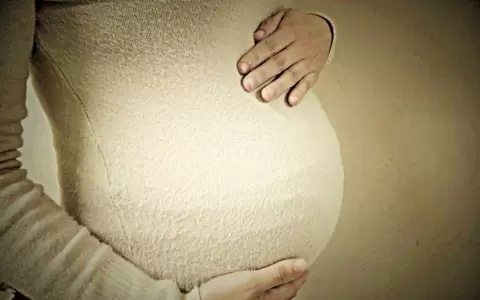 Falta de m�todos anticonceptivos y planificaci�n familiar en embarazos no intencionales
