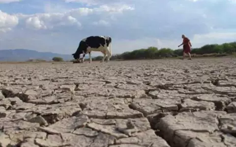 Chile: el lago Pe�uelas se queda sin agua tras 13 a�os de sequ�a