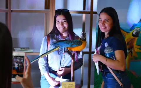 Lanzan desaf�o para que el gua'a kaninde vuele a la �tierra de los loros�
