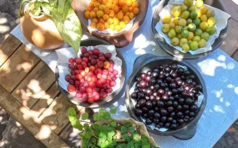 Vivir en verde: peque�as claves para respetar a la Tierra