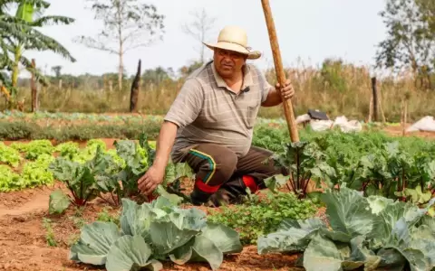 Actualizar�n informaci�n del sector rural con el censo agr�cola nacional