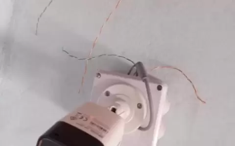 Docente corta cables de c�mara de seguridad de escuela en Villa Elisa
