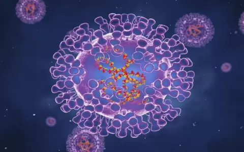 Viruela del mono: c�mo se trasmite y qu� hacer para evitar contagiarte