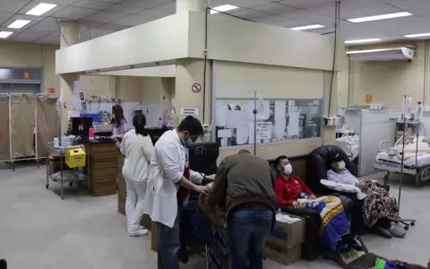 Cl�nicas: influenza A y B copan el bloque respiratorio de adultos