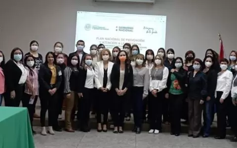 Regiones sanitarias presentan plan operativo sobre atenci�n de violencia de g�nero