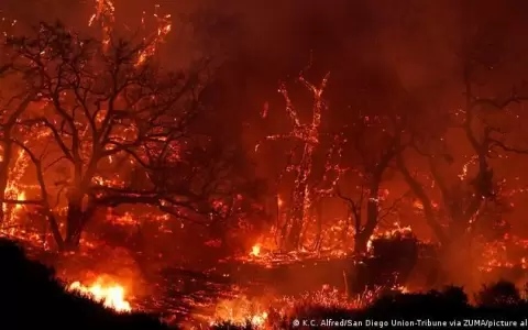 ONU advierte que la humanidad est� atrapada en "espiral de autodestrucci�n"