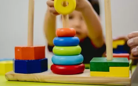 Servicios de desarrollo infantil temprano llegan a 275 USF