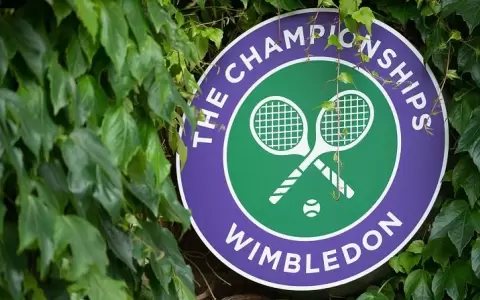 Solicitar�n que Wimbledon no sume puntos en el ranking