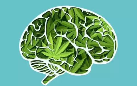 C�mo el consumo de marihuana afecta nuestra mente, seg�n nuevos estudios