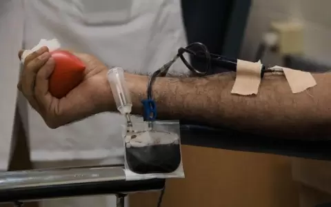 Profesionales concientizan sobre enfermedades de la sangre