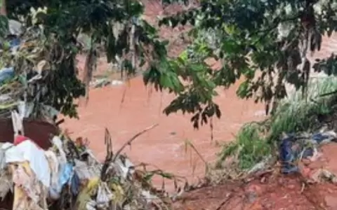 Terrible: hallan cabeza de reci�n nacido a orillas de arroyo en San Lorenzo