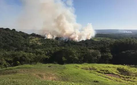 Reportan incendio forestal de gran magnitud entre Ypacarai y Caacup�